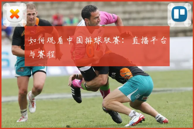 如何观看中国排球联赛:直播平台与赛程