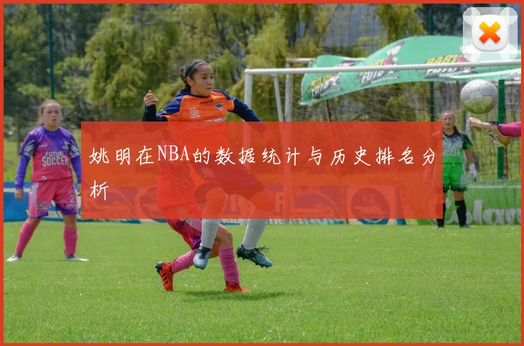 姚明在NBA的数据统计与历史排名分析