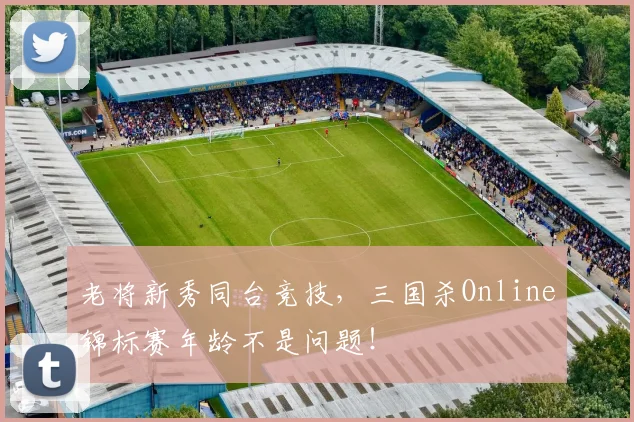 老将新秀同台竞技,三国杀Online锦标赛年龄不是问题!