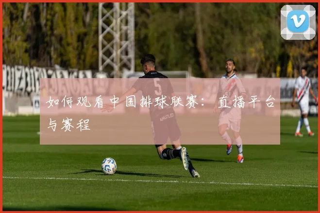 如何观看中国排球联赛:直播平台与赛程